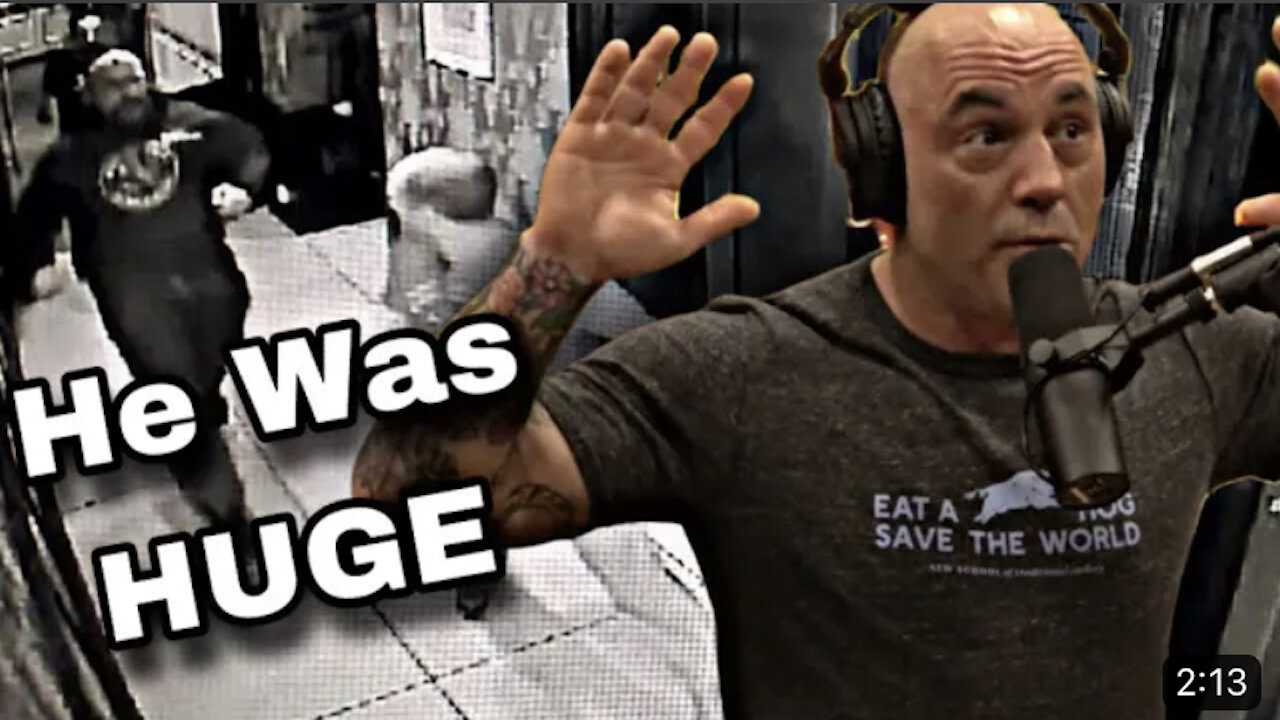 Joe Rogan Reflects on Hotel Fight!
