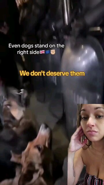 I FEEL BAD FOR THEM... They are on the right side though