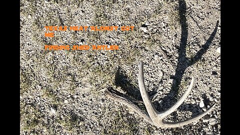 Texas Heat Almost Got Me, Finding Antler Shed