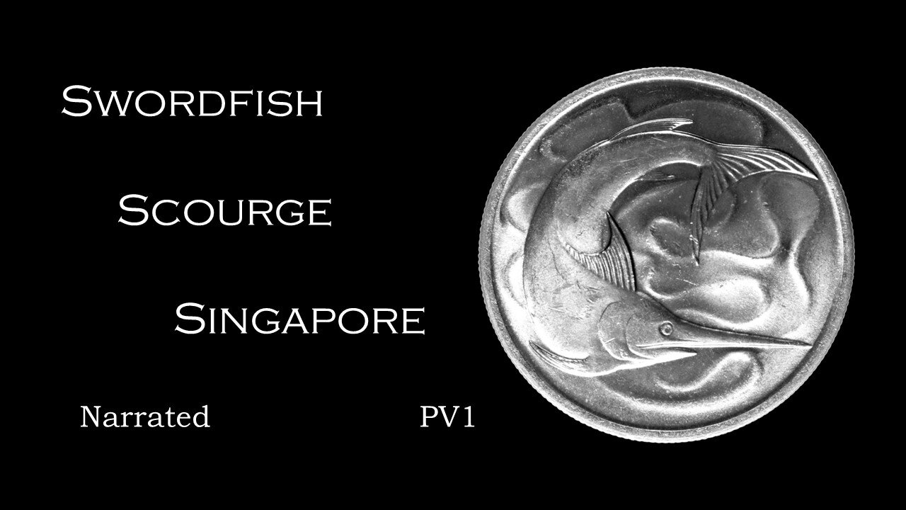 Swordfish Scourge Singapore Narrated PV1