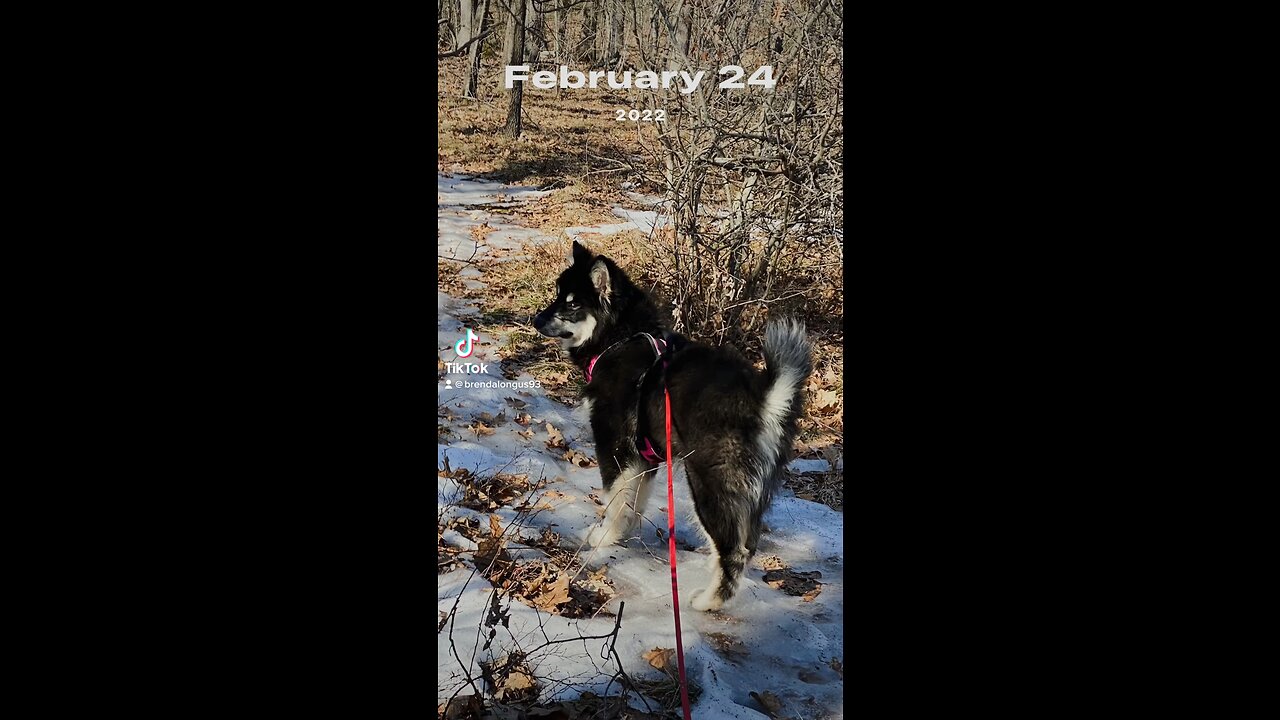 Isaac first time walking in the woods