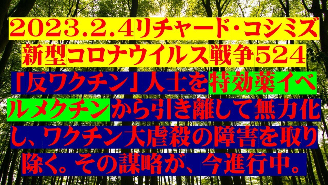 2023.02.04 リチャード・コシミズ新型コロナウイルス戦争５２４