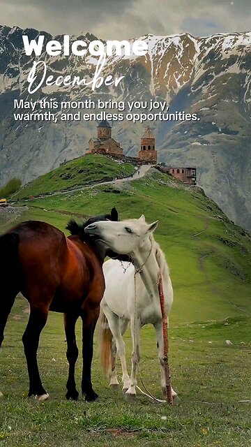 December affirmations