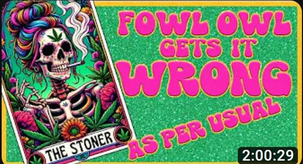 3-29-2024 ShamRocks "FOWL OWL Gets It All Wrong As Per Usual" w/ live chat