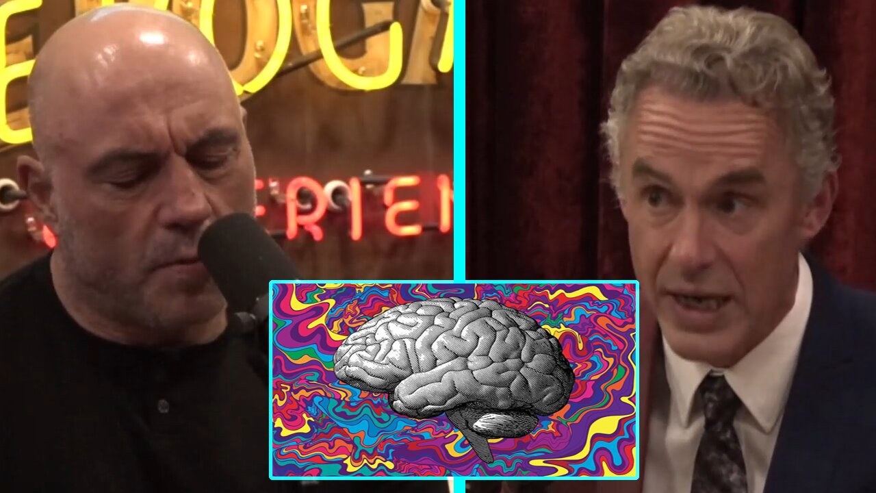 Jordan Peterson on JRE - Psychedelics