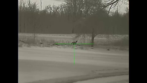Bering Optics Super Yoter Cold Hunting