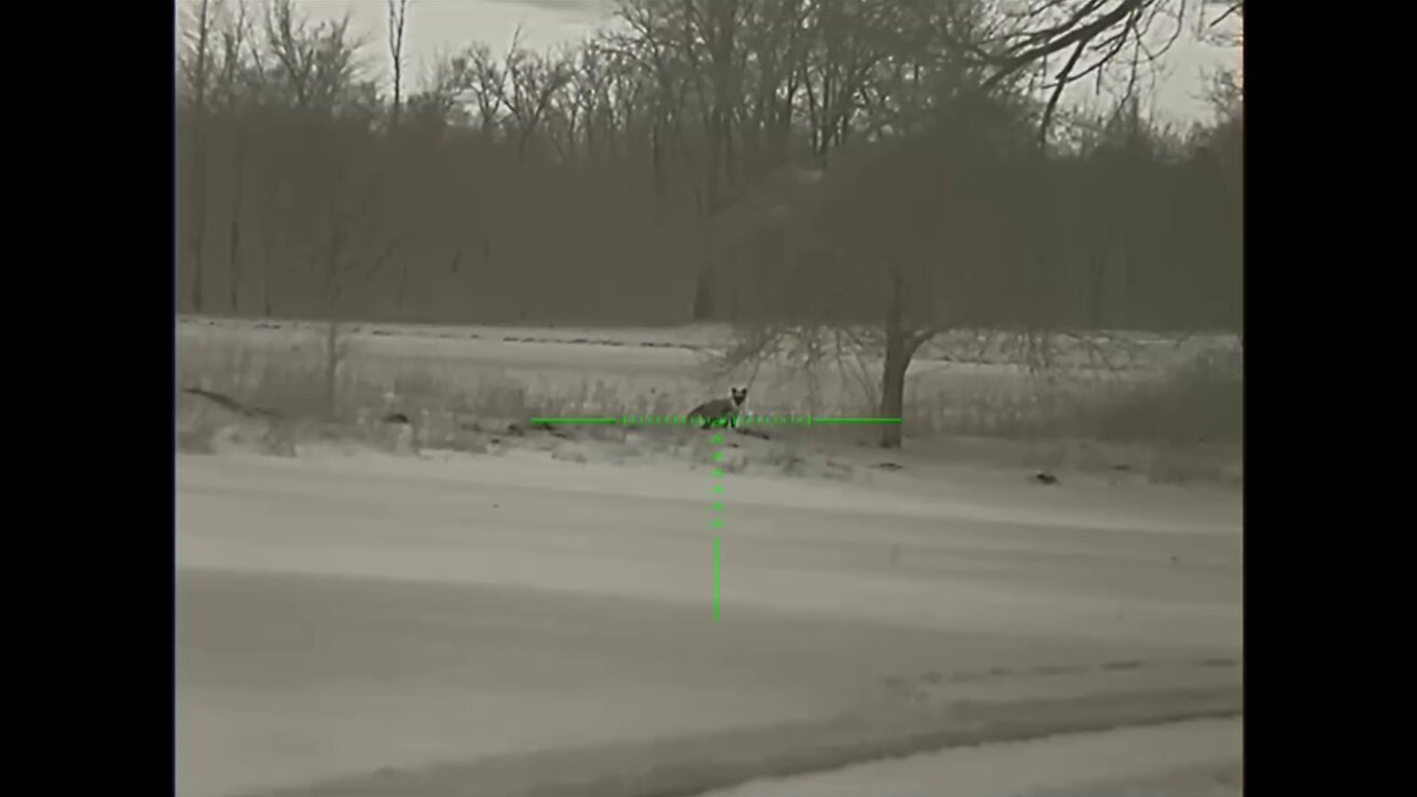 Bering Optics Super Yoter Cold Hunting