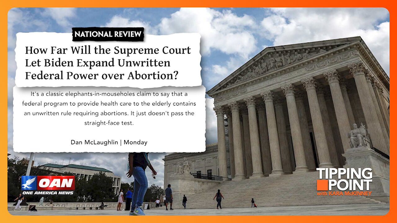 What Do 'Elephants-in-Mouseholes' Have to Do With Abortion? | TIPPING POINT 🟧