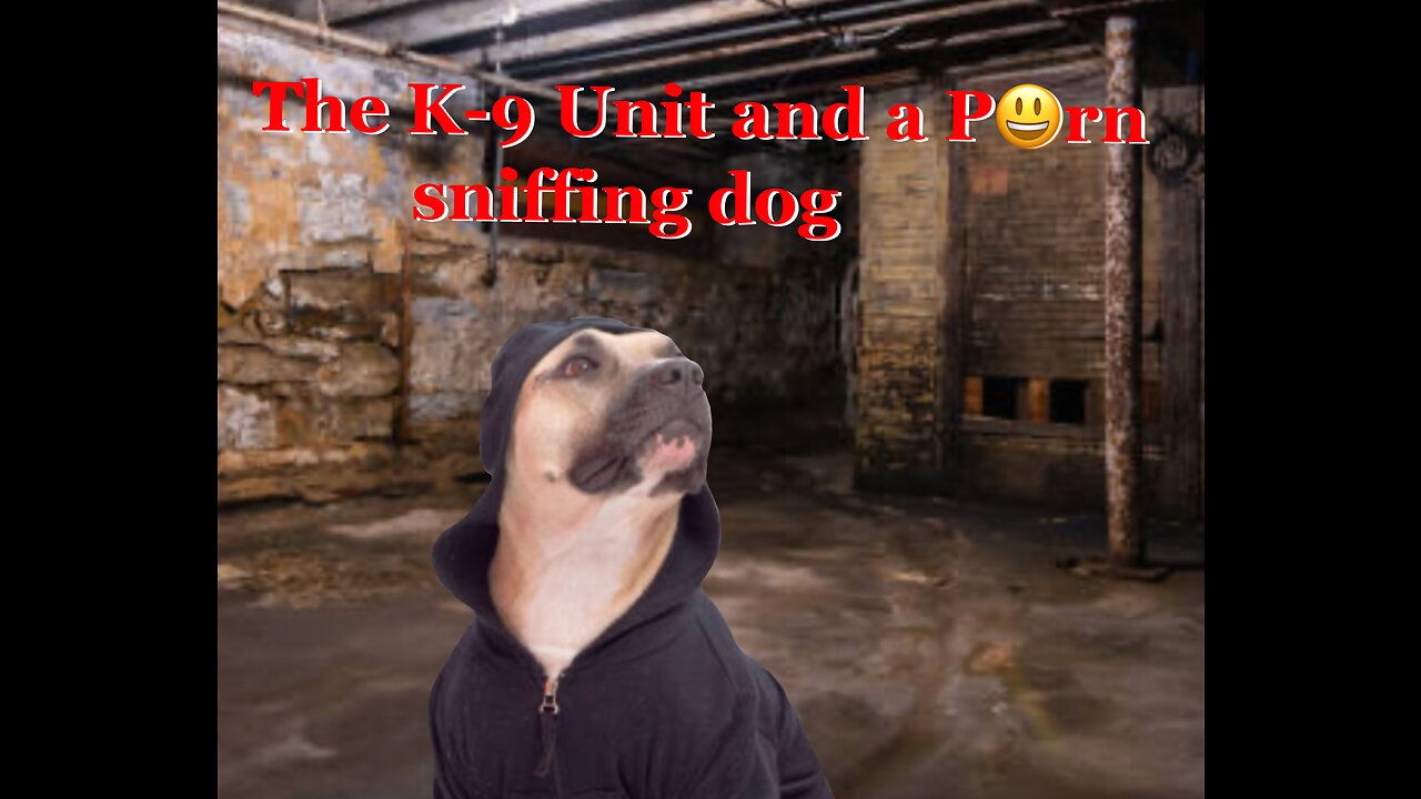 The K-9 Unit and a P😀rn Sniffing Dog