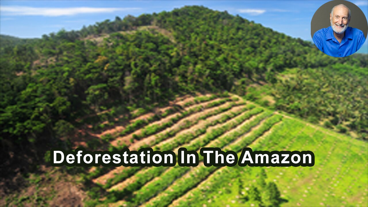 Global Demand For Beef Is The Leading Driver Of Deforestation In The Amazon