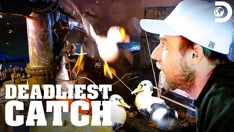 Birds Invade the Saga! Deadliest Catch