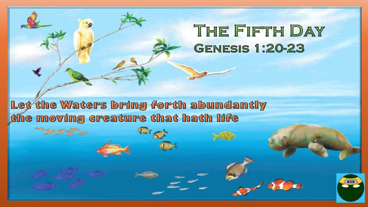 Genesis 1:20-23 | Bring Forth Sea Creatures and Fowls