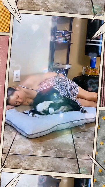 Snuggle breaks are the best breaks 🐾💖