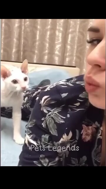 Entertaining animal footage available 😅