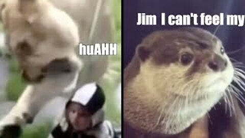Best Animal Voiceovers 😂(2024)