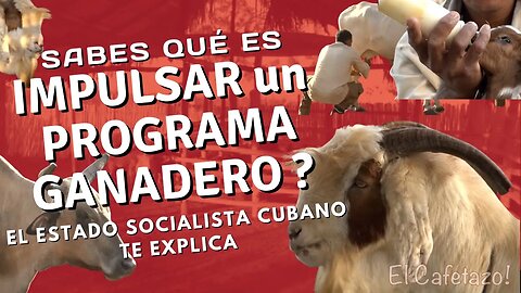 Sabes qué es IMPULSAR un PROGRAMA GANADERO?.