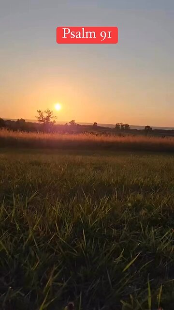 Psalm 91.wonderful protection of the Lord and prayer. #psalms ##bible #Jesus