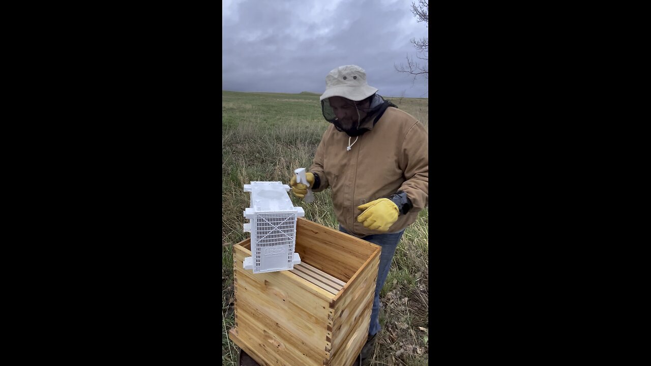 We got bees, and they’re not happy!!! lol