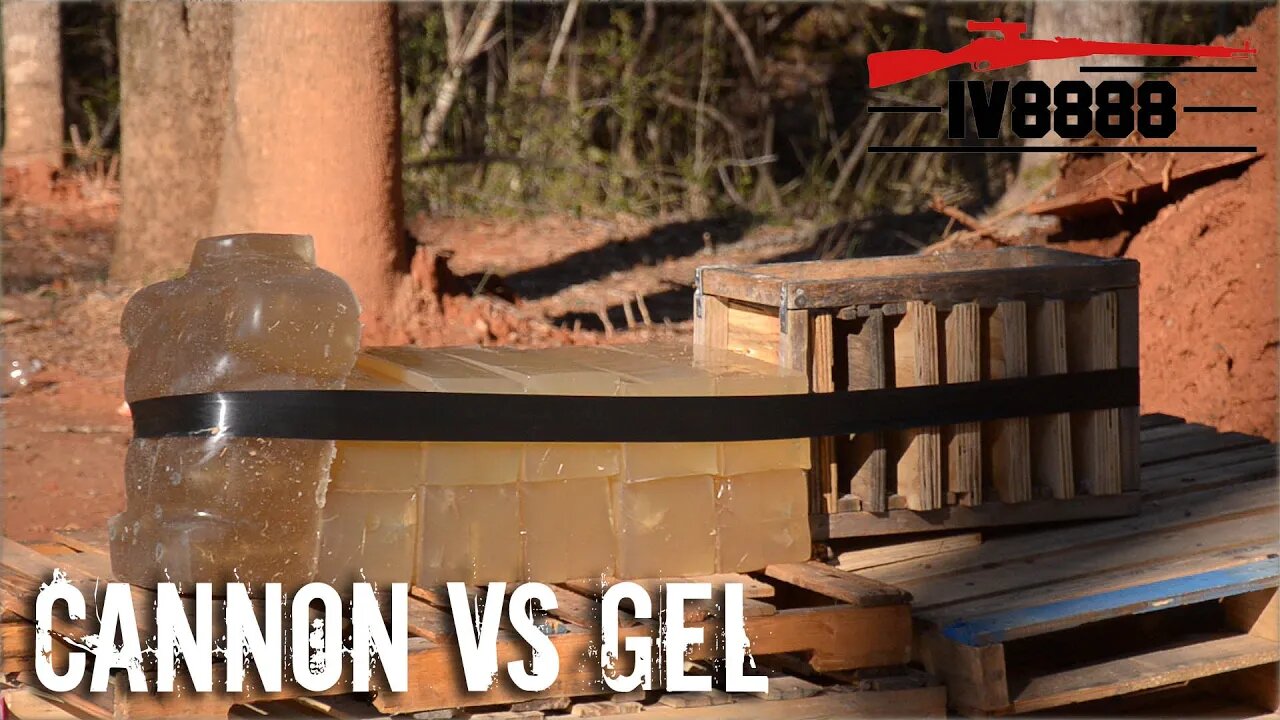 Cannon VS Ballistics Gel