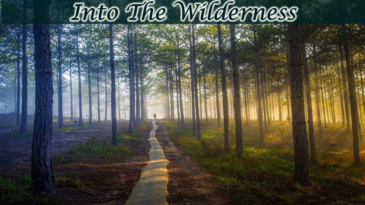 Into the Wilderness