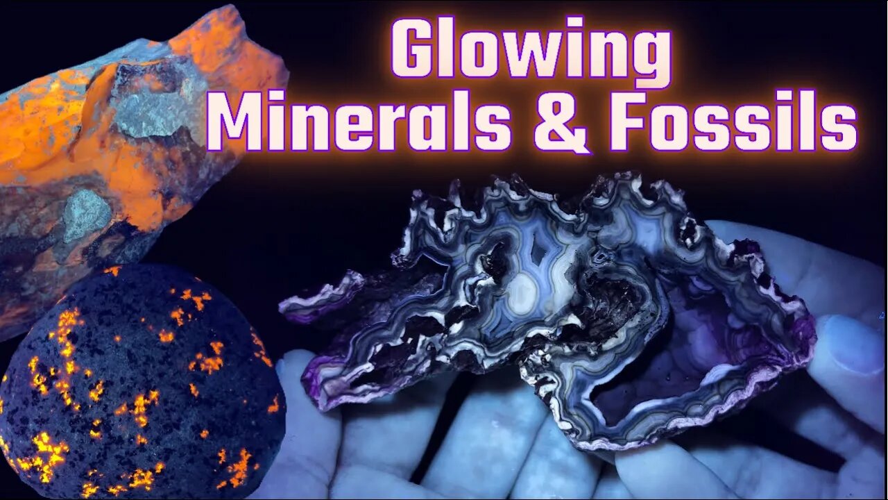 FLOURESCENT & GLOWING Minerals and Fossils in UV LIGHT from my Rock Collection!