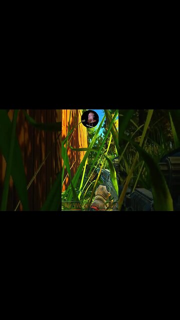 killed a 3 man team #escapefromtarkov #eft #tarkov #game #pmc #mrandmrswolfgaming #shorts