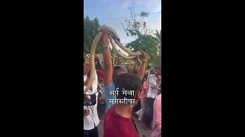 snake mela viral videos funny short videos 😲😲🤔