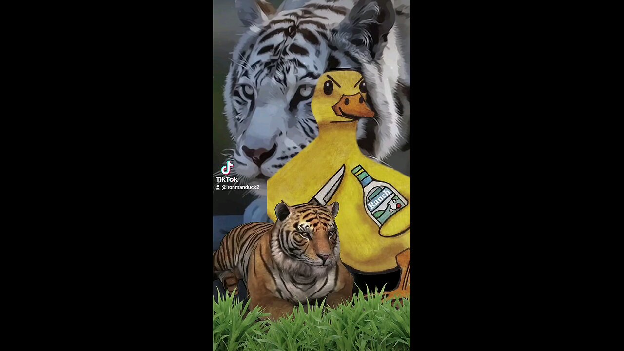 #CapCut #Quackers #duckloveflex ##quackers4life