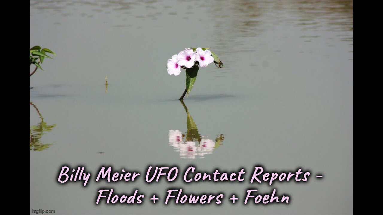 Billy Meier UFO Contact Reports - Floods + Flowers + Foehn