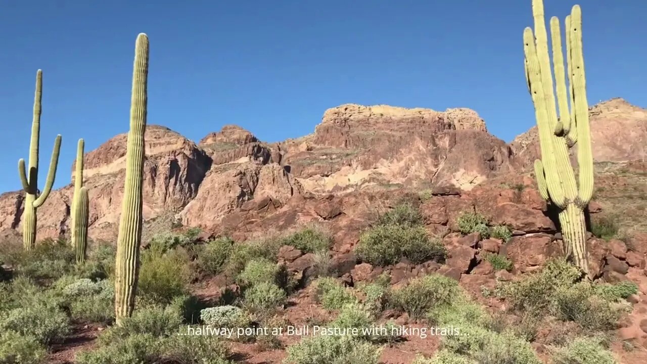 Organ Pipe Cactus National Monument Arizona