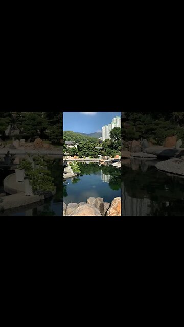 Peace does not dwell with outward things, but within the soul. #happiness #nature #peace