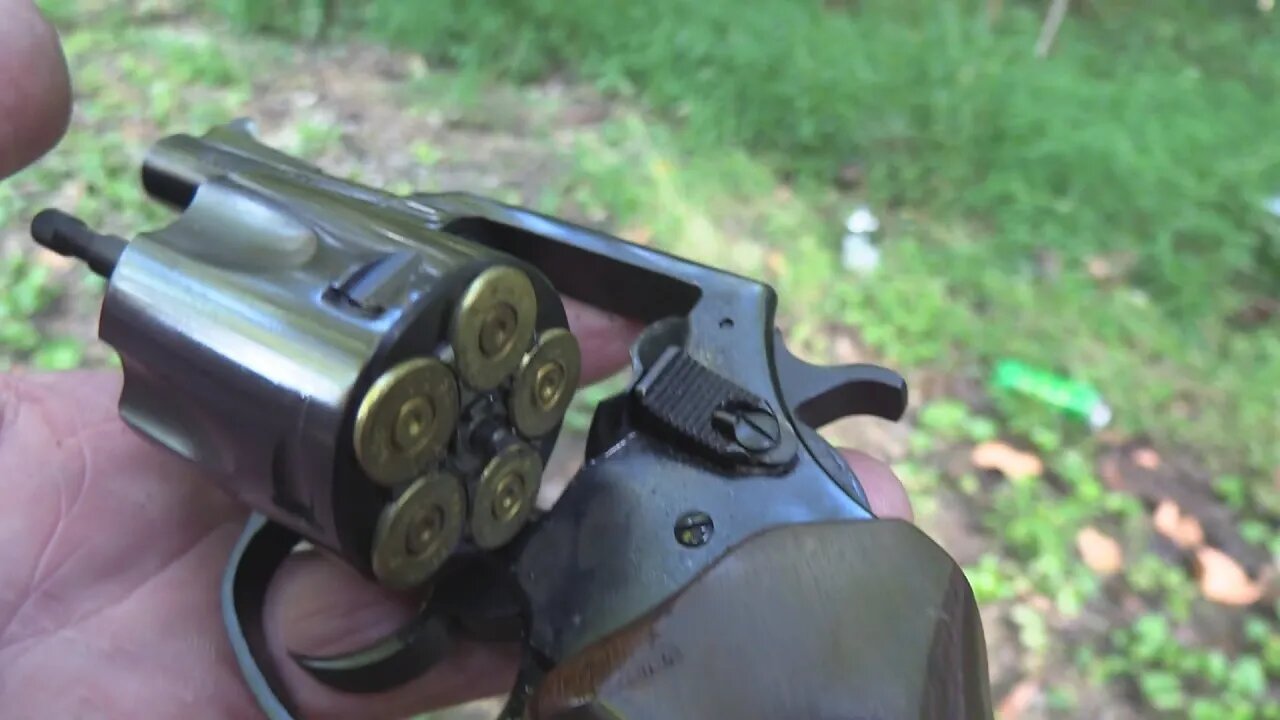 Charter Arms .44 Special Bull Dog Classic Close-up