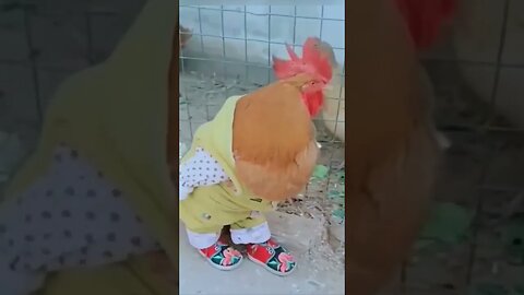 Chicken Wearing Pants #shorts