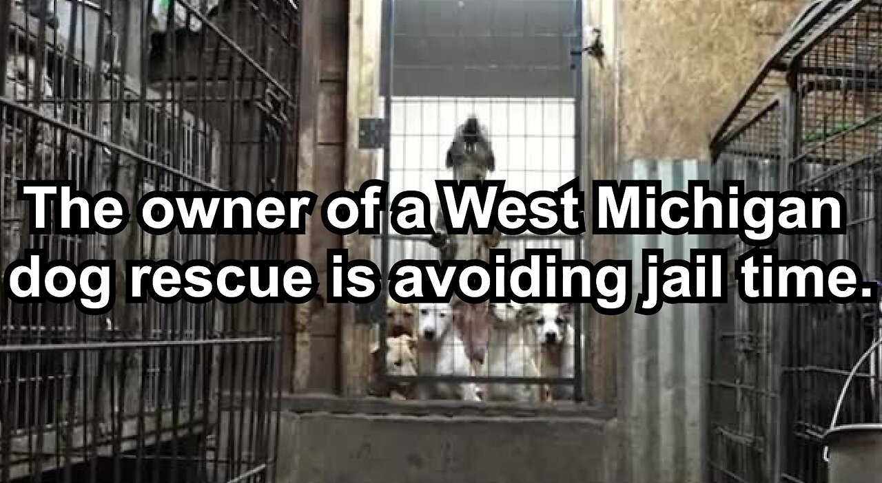 The owner of a West Michigan dog rescue is avoiding jail time.