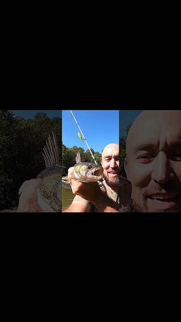 I caught a WILD looking smallmouth and a toothy sauger!