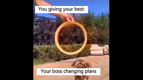 Your Boss Sucks??? 😐😐