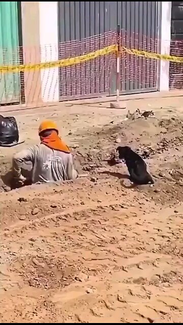 We don't deserve doggies.