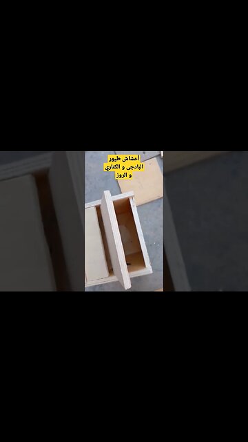 أعشاش طيور البادجى و الكناري و الميستو و الفيشر كيوت روعة