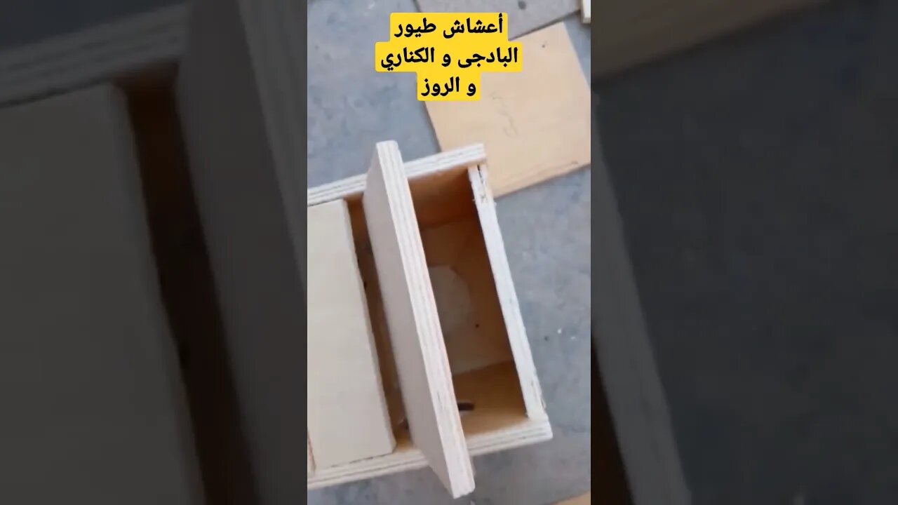 أعشاش طيور البادجى و الكناري و الميستو و الفيشر كيوت روعة