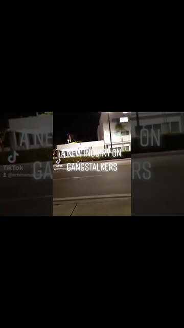 Gang-stalking in Action : The TikTok Edition on YouTube