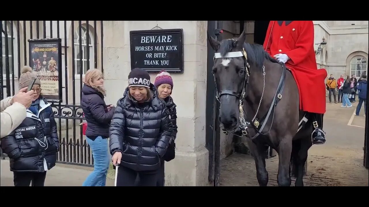 tourist's show respect even when the Horse wants to bite #horseguardsparade