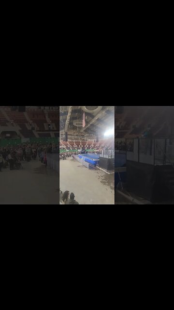 #Shorts #dogs #water #competition