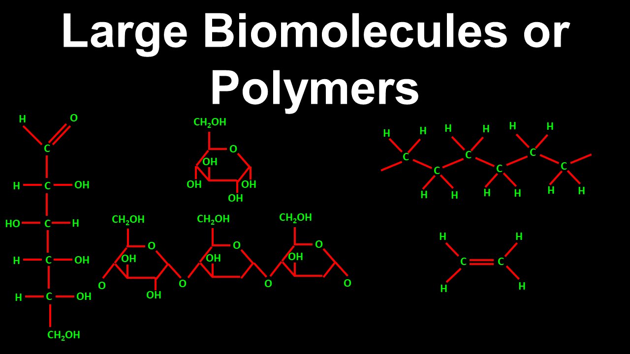 Large Biomolecules and Polymers - Chemistry