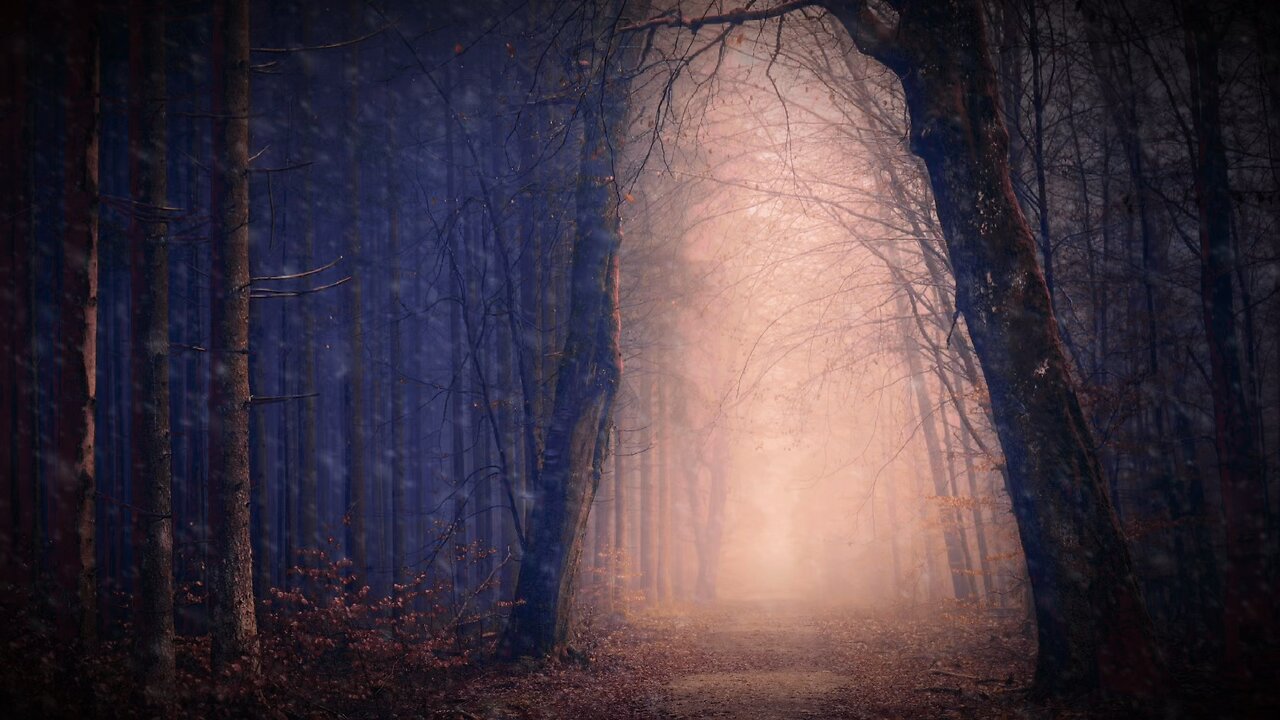 The Mysterious Forest | horror story | Episode-2