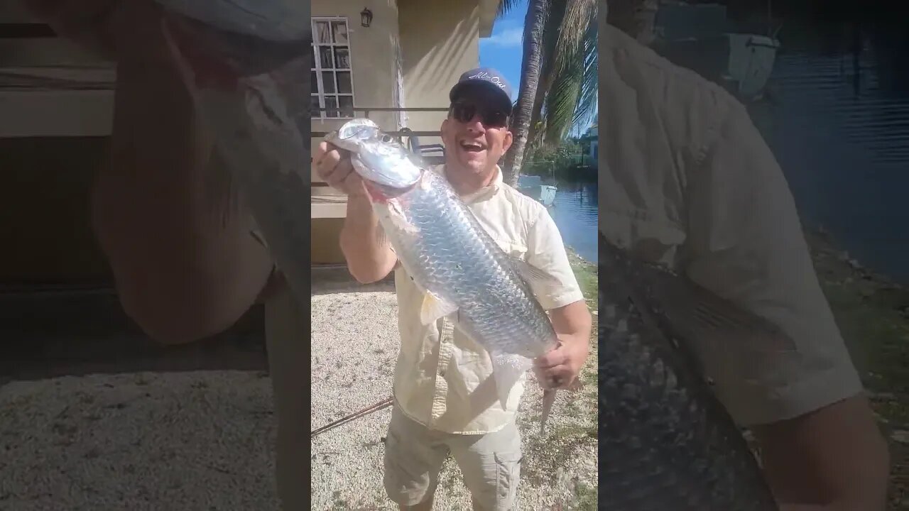 First TARPON of my life, canal in Belize. Fishing videos, New species caught