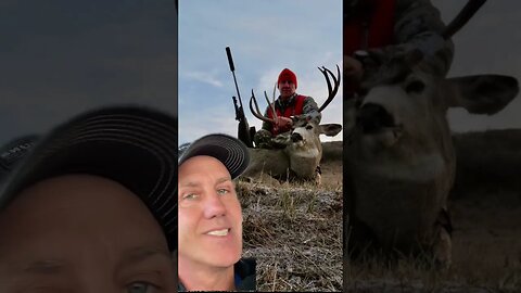 Mule deer harvest VS super bowl win.