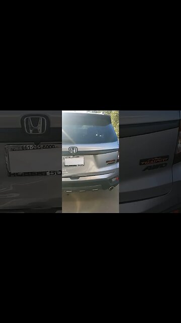 2023 Honda Passport Trailsport got hit #short #shorts #shortvideo #shortsvideo #shortsfeed