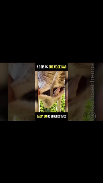 5 coisas que você não sabia #shorts #viral #comidasaudavel