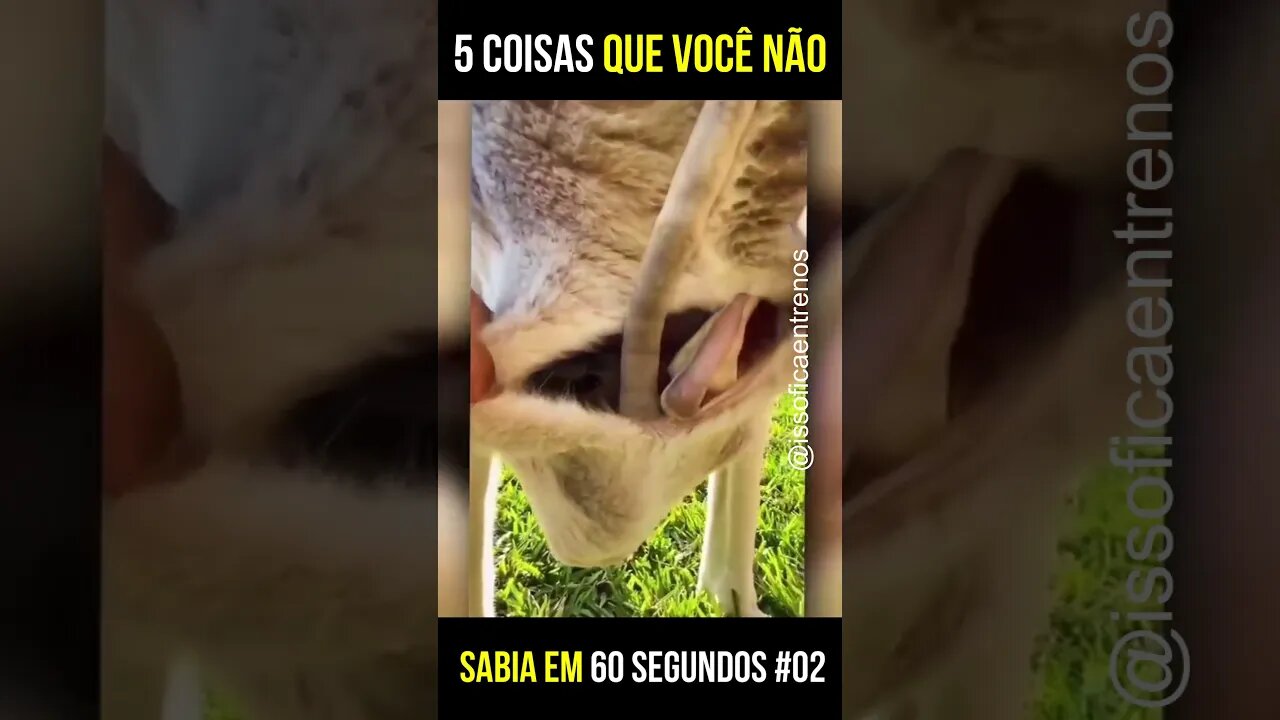 5 coisas que você não sabia #shorts #viral #comidasaudavel