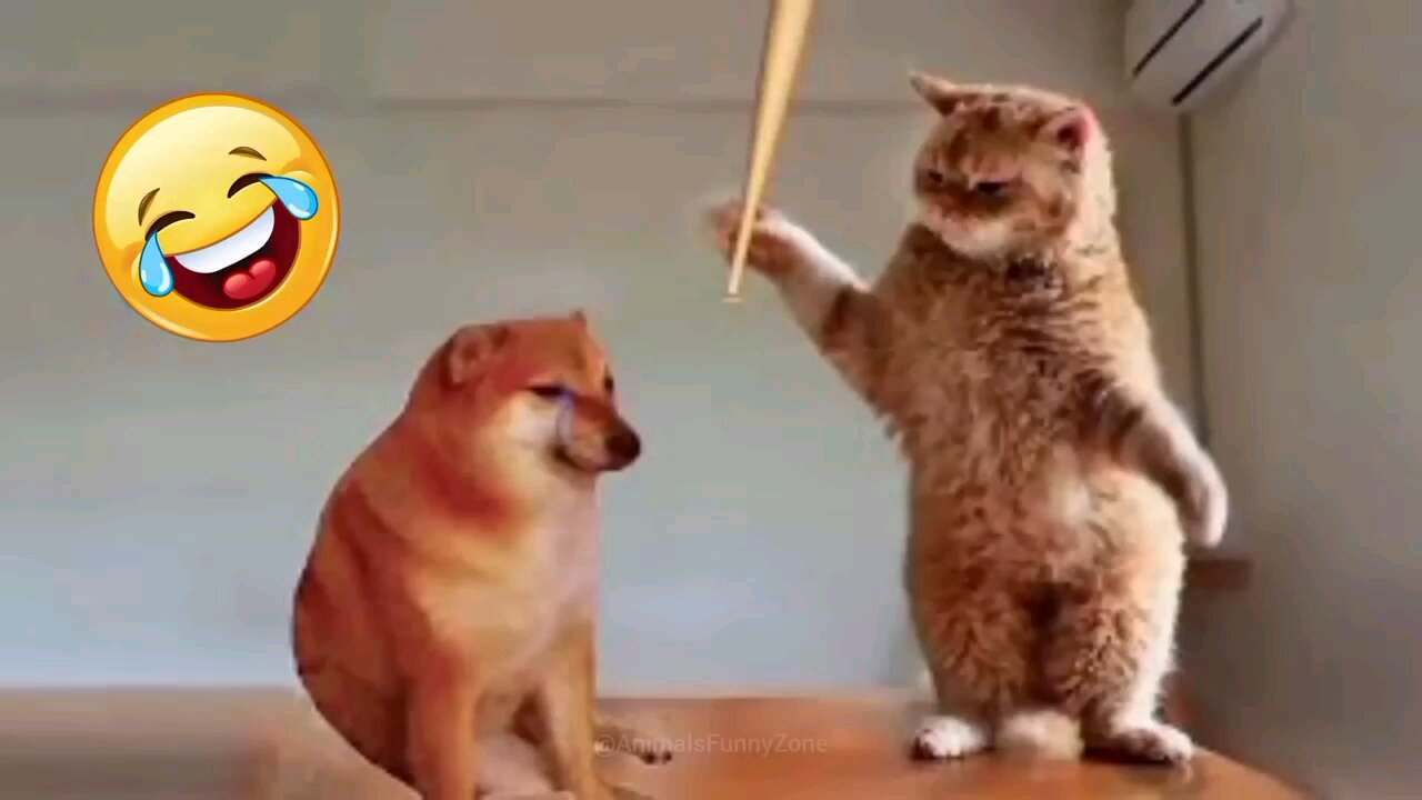 Funny Animal Videos|Try Not To Laugh | Funniest Cats And Dogs Videos| funny animals